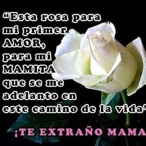 Meet your Posher, Leonor